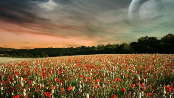 CPU 为什么很少会坏？